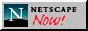Netscape Now